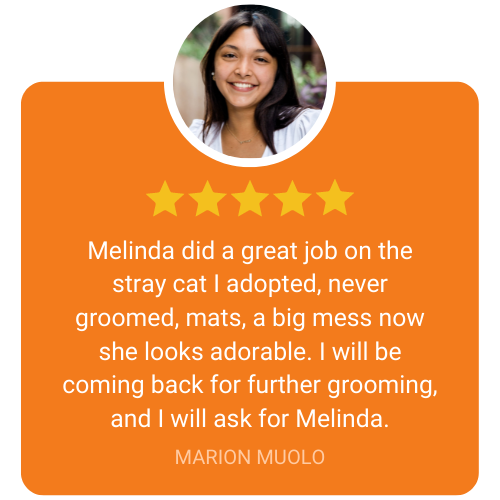 5 star review from Maarion
