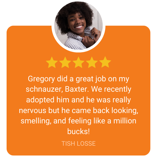5 Star review from Tish