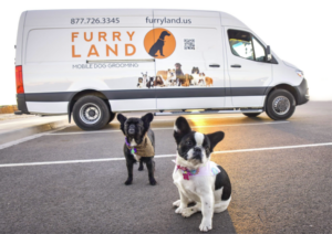 Furry Land Mobile Grooming vans provide dog grooming services